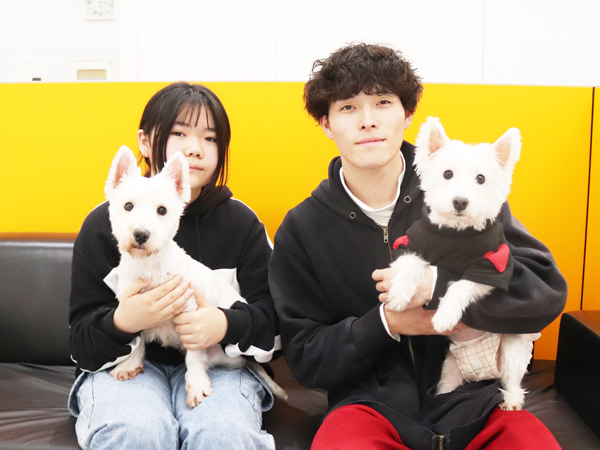 モデル犬の新しい家族が決まりました！PART①